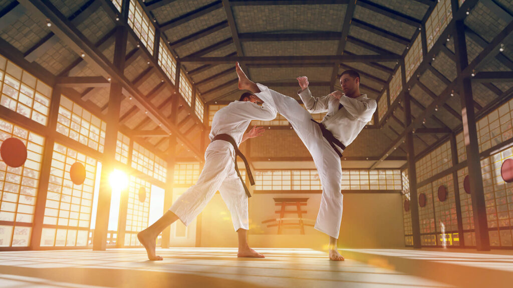 IS MARTIAL ARTS A SPORT: THE ULTIMATE DEBATE!